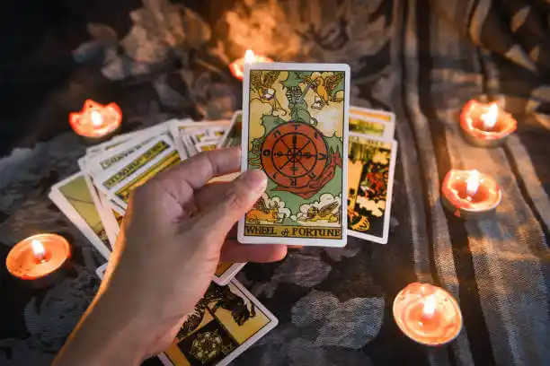 tarot cards Cook